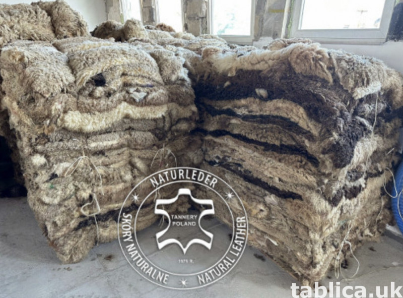 Raw Sheepskin Procurement – Wholesale Cooperation 0