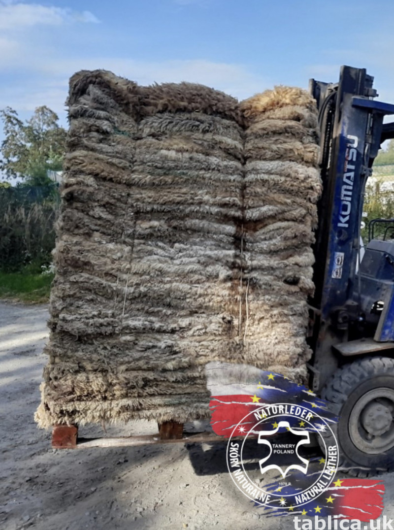 Raw Sheepskin Procurement – Wholesale Cooperation 1