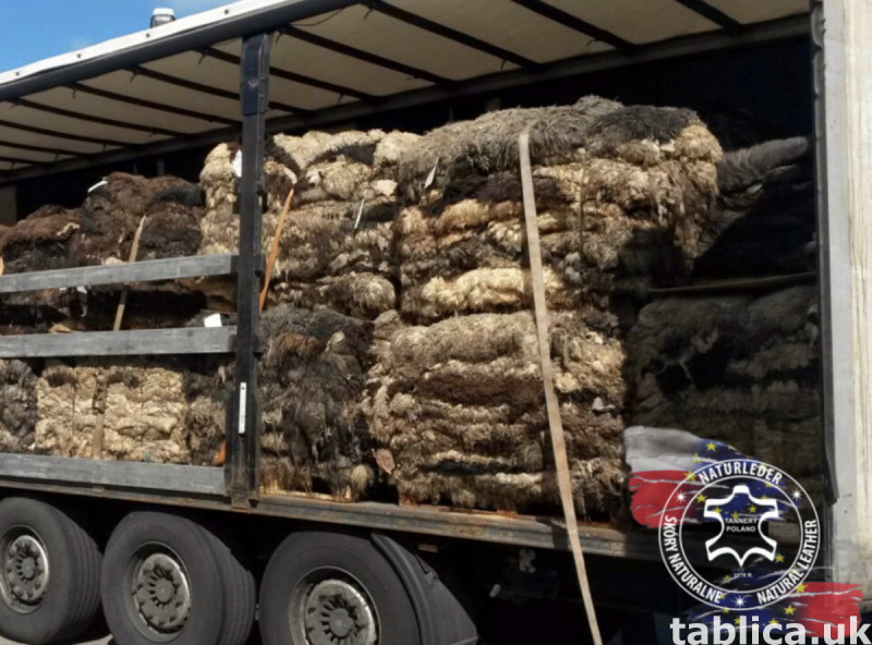 Raw Sheepskin Procurement – Wholesale Cooperation 2